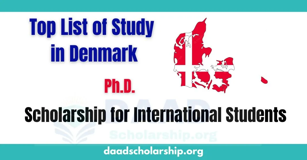 List Of Denmark Scholarship For International Students 2024 Fully   List Of Denmark Scholarship For International Students 2023 2024.webp