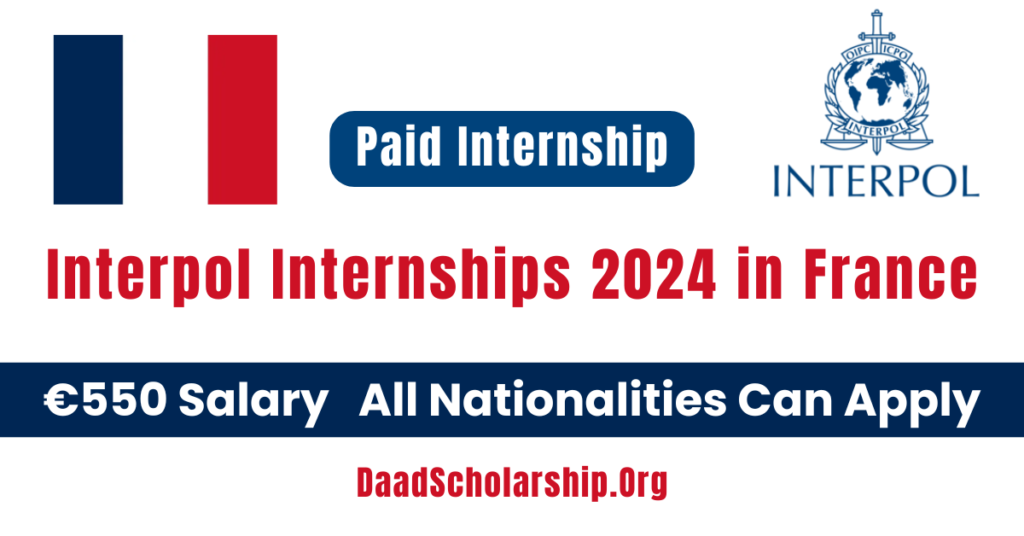 INTERNSHIPS Daad Scholarship 2024 FullyFunded