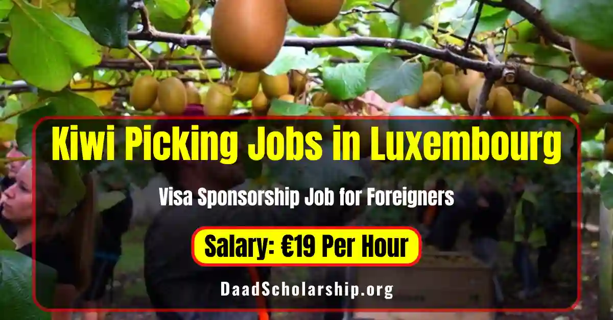Kiwi Picking Jobs in Luxembourg for Foreigners 2025 Salary €19 Per Hour