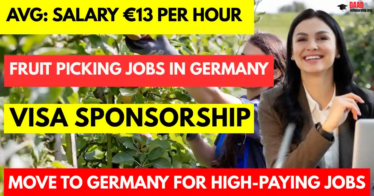 Fruit Picking Jobs in Germany with Free Visa Sponsorship 2025: Salary €13 Per Hour