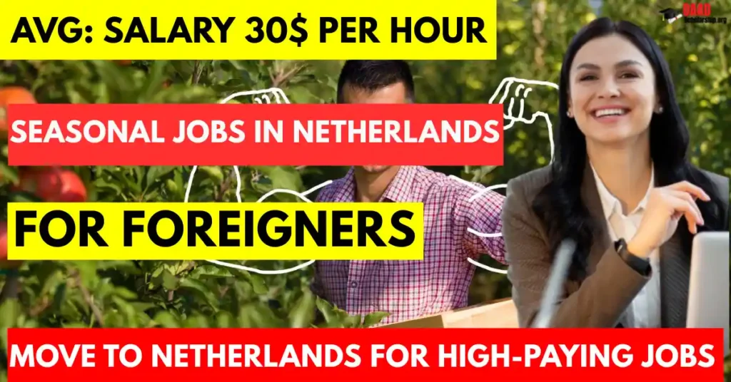 Seasonal Jobs in Netherlands for Foreigners with Visa Sponsorship 2025