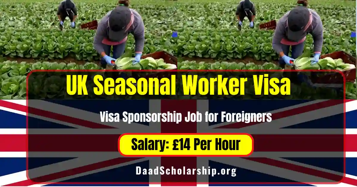 Applying for the UK Seasonal Worker Visa (Temporary Worker Visa)