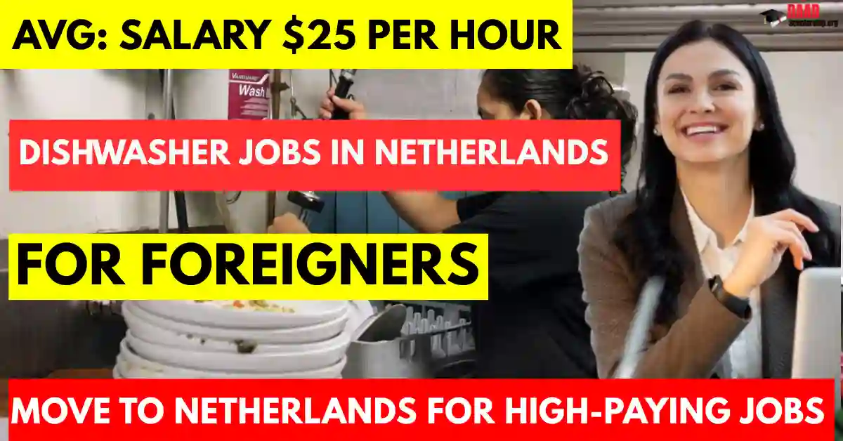Dishwasher Jobs in Netherlands for Foreigners 2025 | Salary €2,300 Monthly