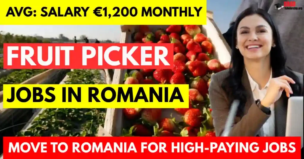 Fruit Picker Jobs in Romania Visa Sponsorship Available for Foreigners
