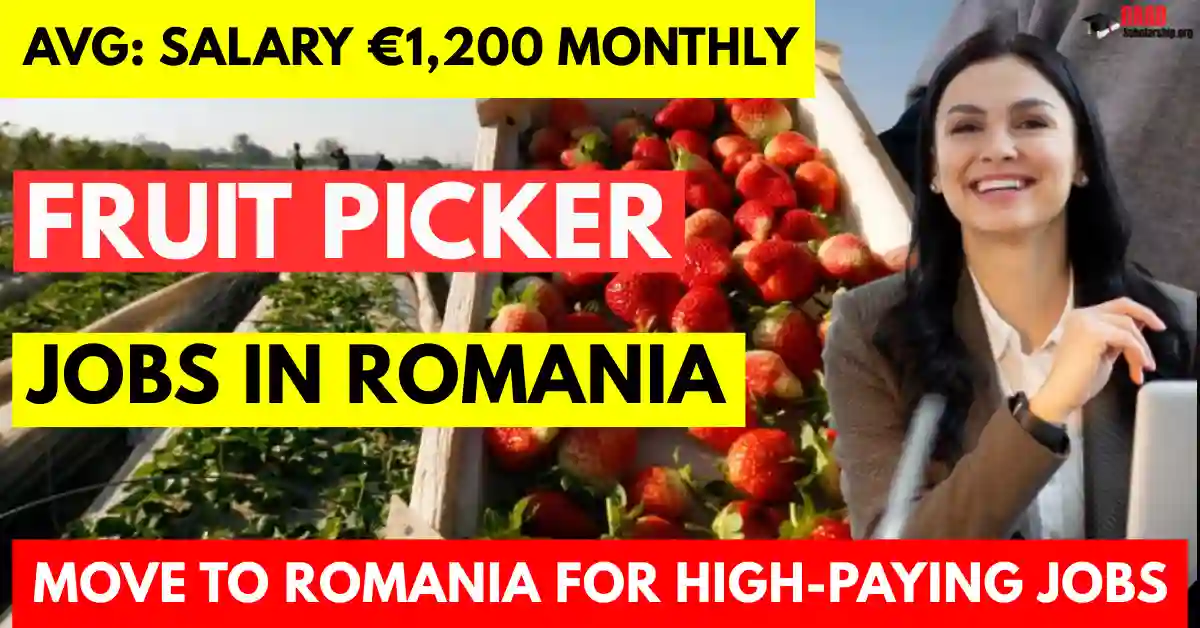 Fruit Picker Jobs in Romania Visa Sponsorship Available for Foreigners