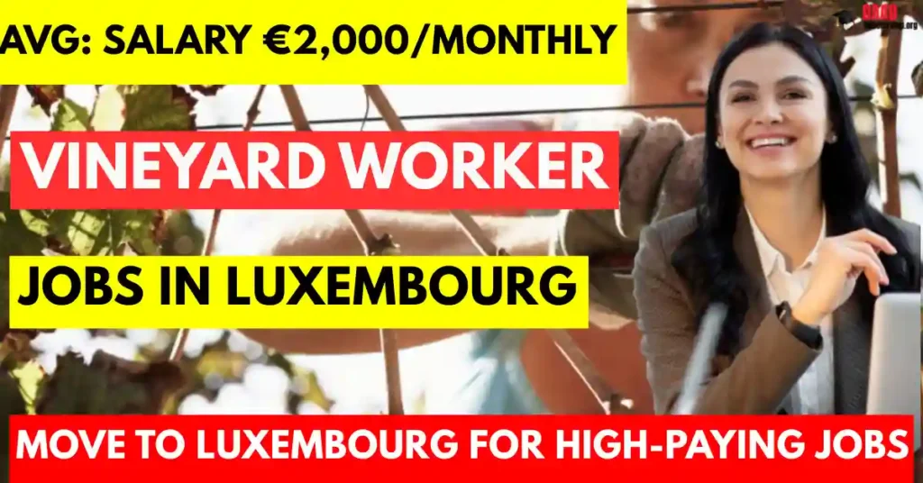 Vineyard Worker Jobs in Luxembourg for Foreigners 2025