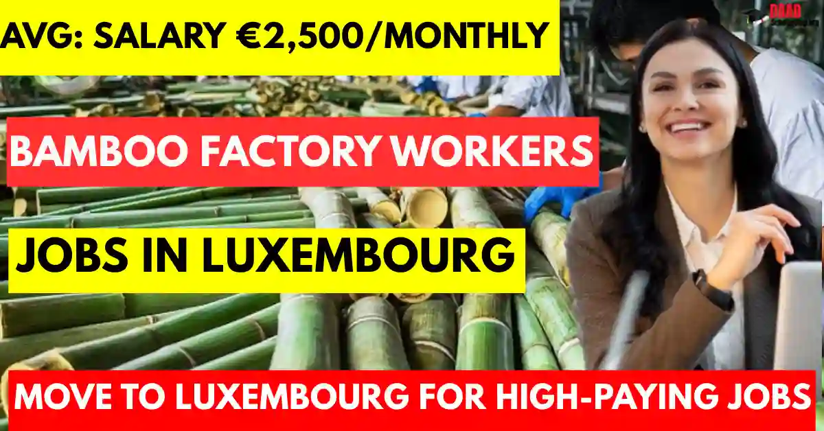 Bamboo Factory Jobs in Luxembourg with Visa Sponsorship