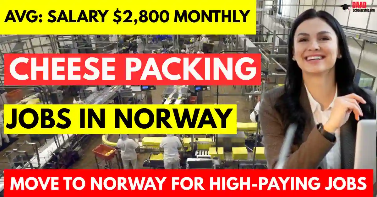 Cheese Packing Jobs in Norway 2025 – Visa Sponsorship | Salary $2,800 Per Month