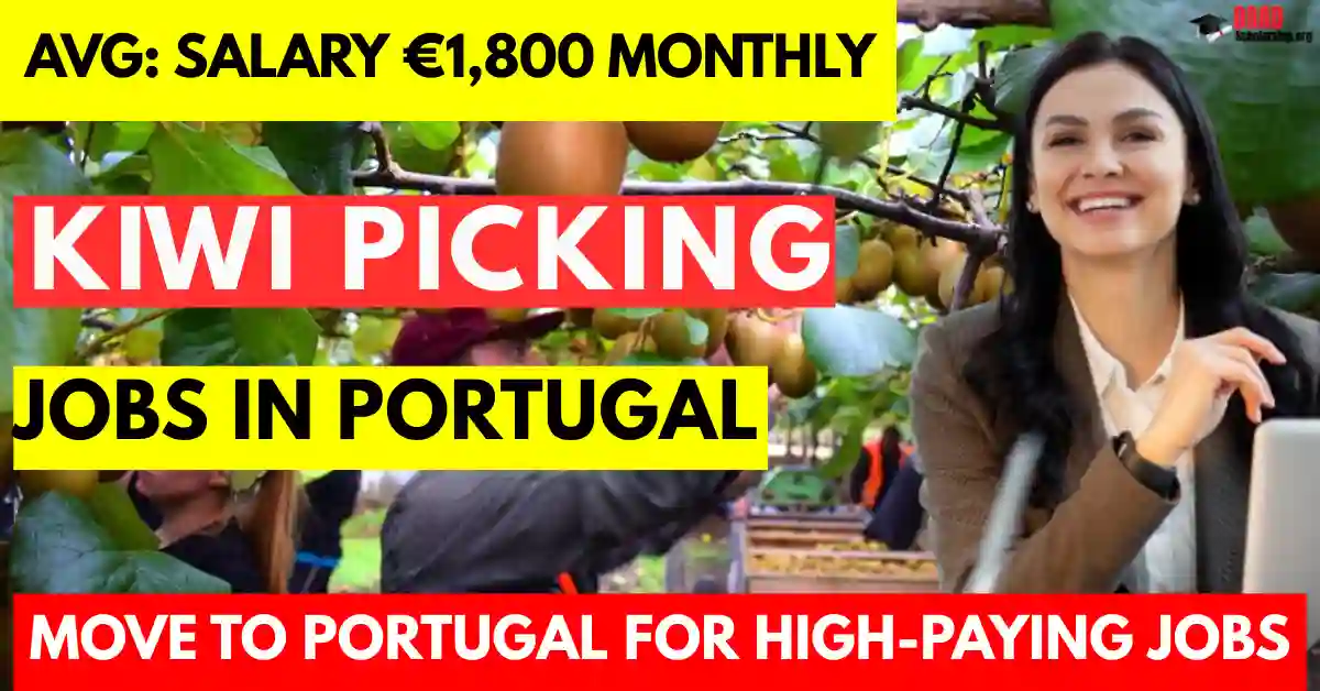 Kiwi Picking Jobs in Portugal with Visa Sponsorship for Foreigners 2025