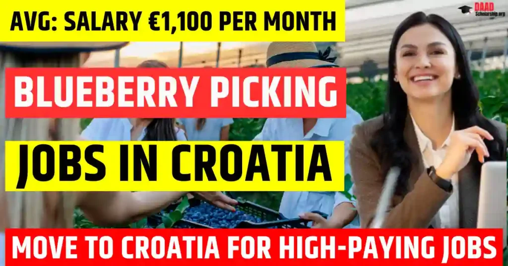 Croatia Blueberry Picking Jobs – 50 Visa Sponsorship 2025 | Salary €1,100 Per Month