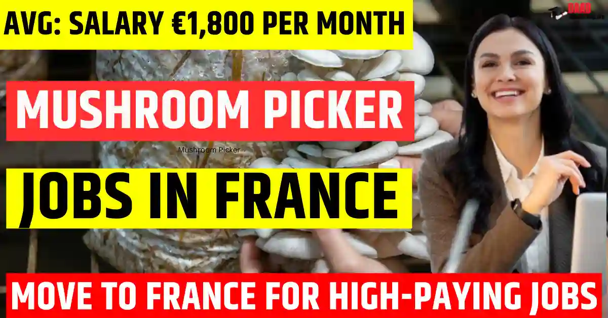 France Mushroom Picker Jobs – 200 Visa-Sponsored 2025 | Salary €1,800 Monthly
