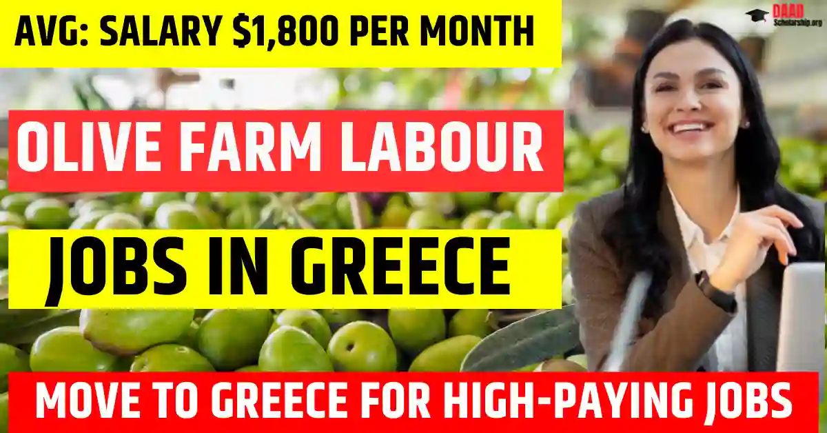 Greece Olive Farm Labour Jobs – Seasonal Visa Jobs – 200 Visa Sponsorship 202