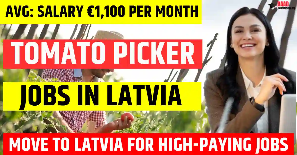 Latvia Greenhouse Tomato Picker – 200 Jobs Open to Foreigners in 2025