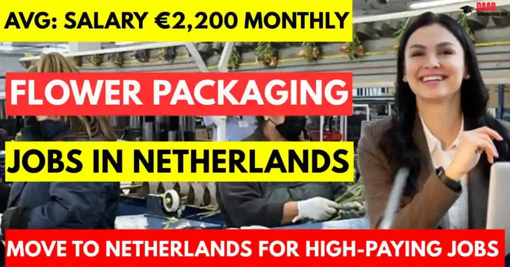 Netherlands Flower Packaging Jobs 2025 – 100 Visa Sponsorships for Foreigners | Salary €2,200 Monthly