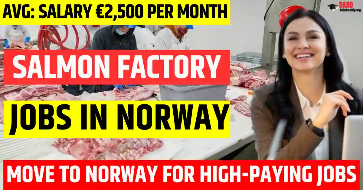 Norway Salmon Processing Factory Jobs – 150 Visa Sponsorship 2025 Salary | €2,500 Monthly