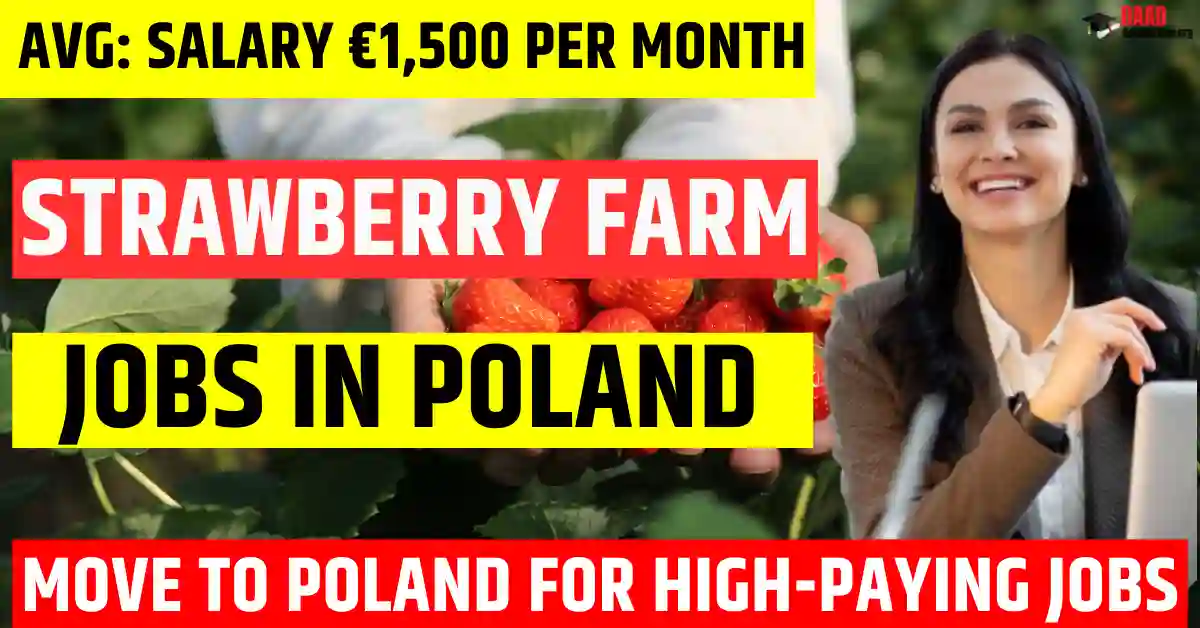 Poland Strawberry Farm Jobs – 100 Jobs Visa Sponsorship 2025 | Salary €1,500 Per Month