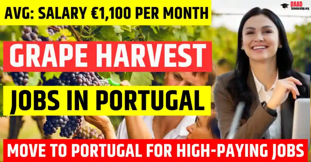 Portugal Grape Harvest Jobs – 100 Visa Sponsorship 2025 | Salary €1,100 Per Month