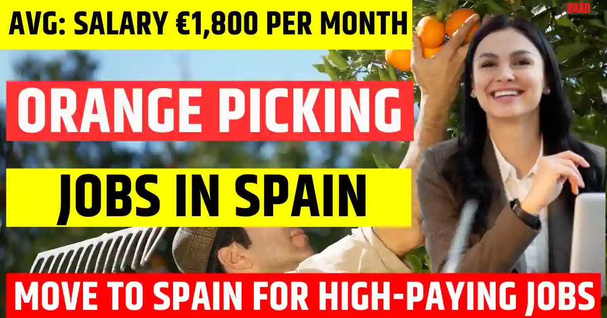 Spain Orange Picking Jobs – 300 Visa Sponsorship Jobs 2025 | Salary €1,800 Per Month