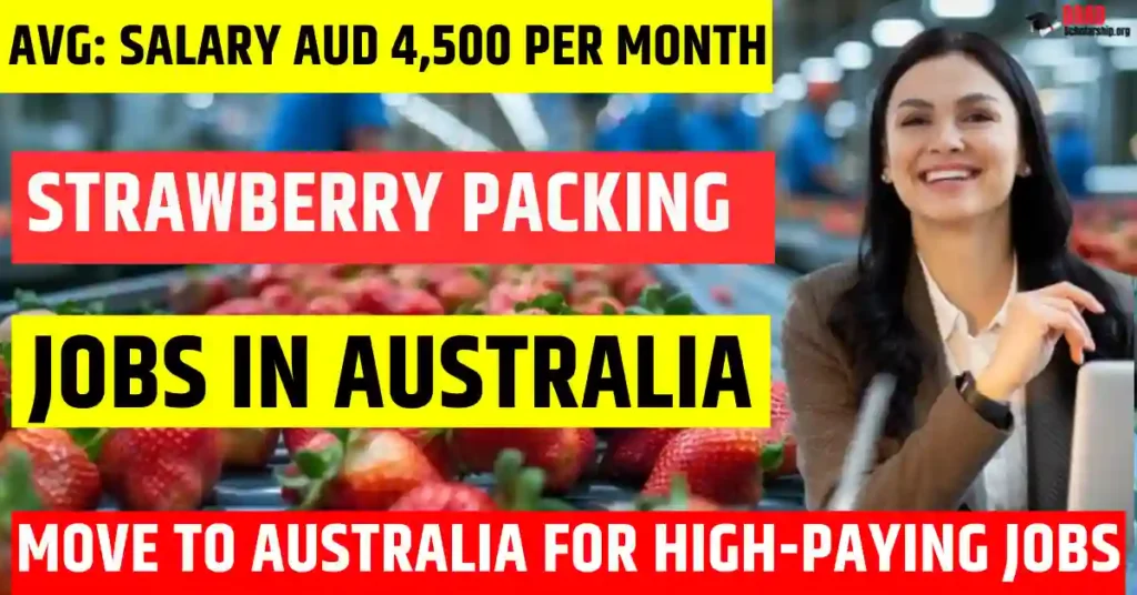 Australia Strawberry Packing Jobs – 50 Free Visa Sponsorship 2025 | Salary AUD 4,500 Per Month