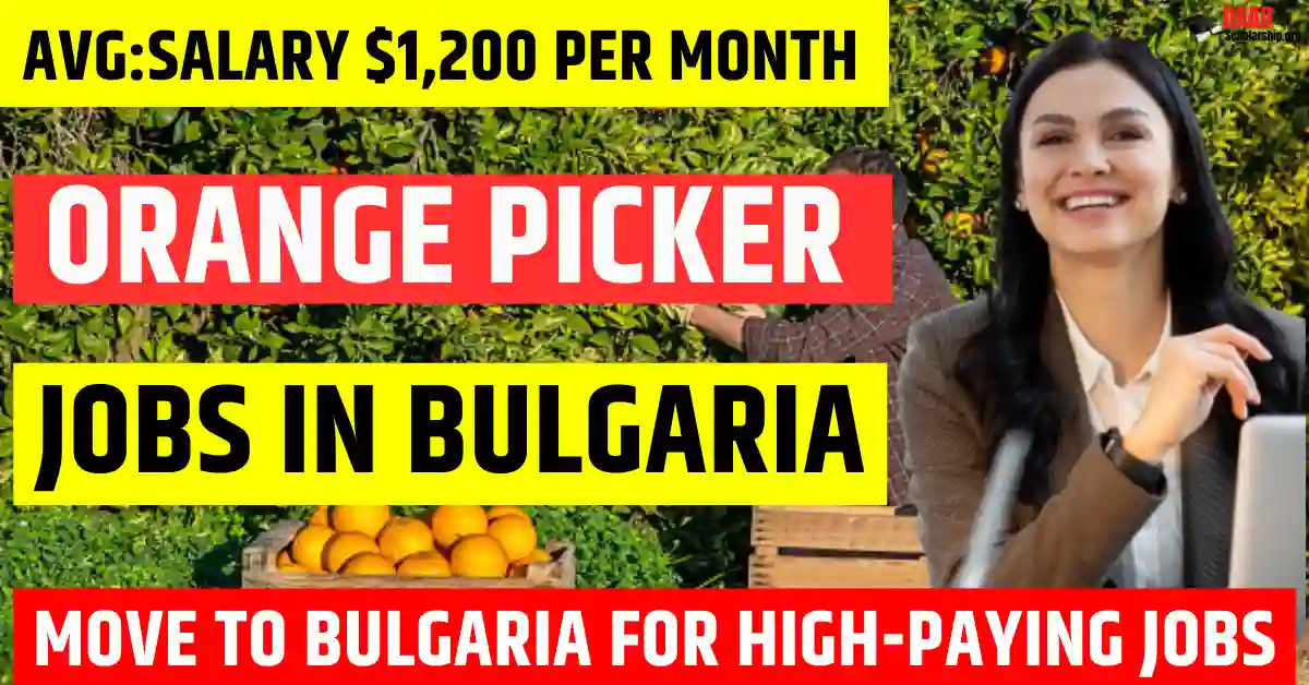 Bulgaria Orange Picker Worker Jobs 2025 – 140 Free Visa Sponsorship | Salary $1,200 Per Month