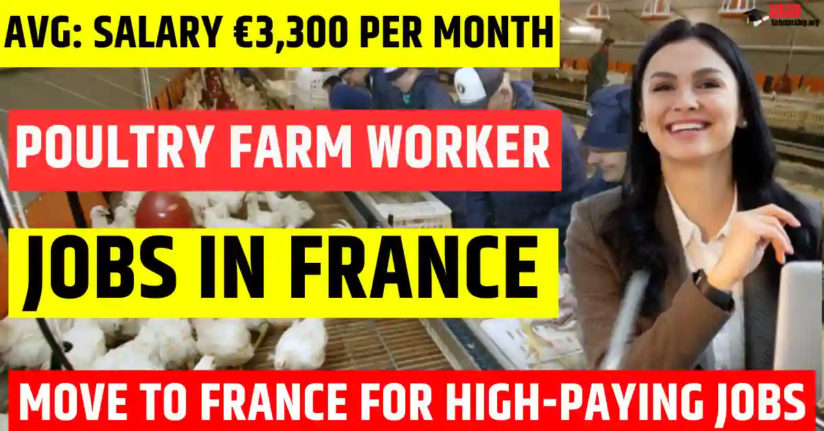 France Poultry Farm Worker Jobs 2025 – 40 Free Visa Sponsorship | Salary €3,300 Per Month