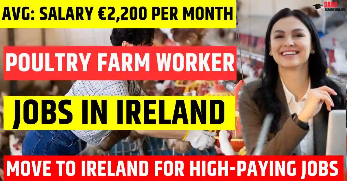 Ireland Poultry Farm Worker Jobs –200 Free Visa Sponsorship in 2025 | Salary €2,200 Per Month