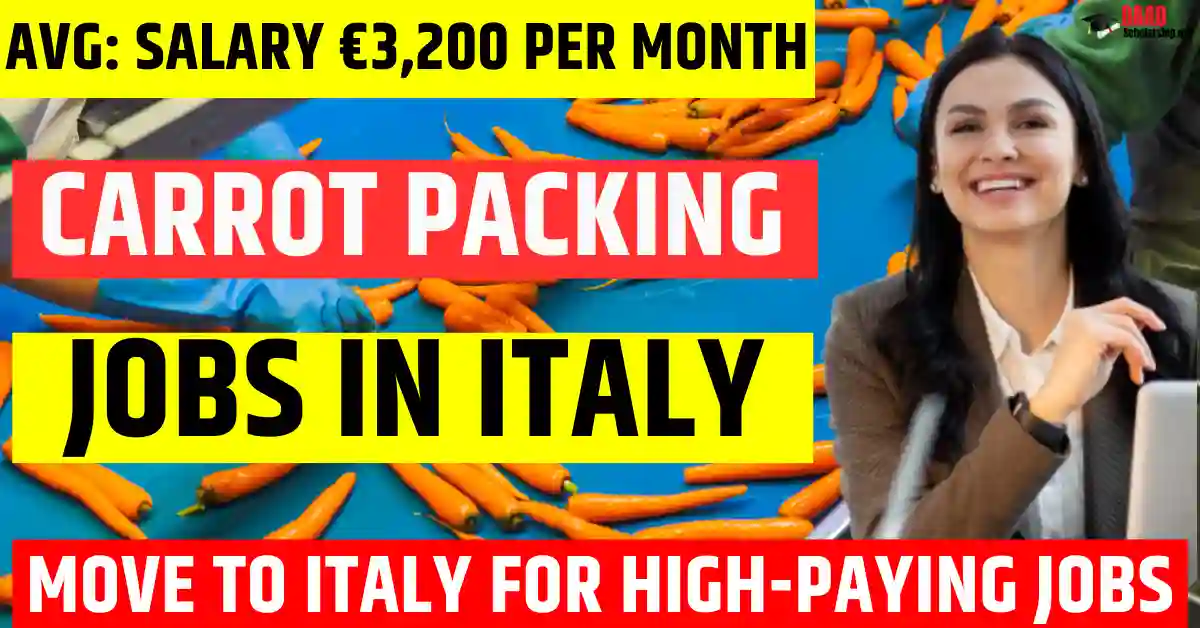 Italy Carrot Packing Jobs 2025 – 100 Free Visa Sponsorship | Salary €3200 Per Month