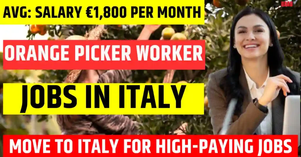Italy Orange Picker Worker Jobs – 65 Free Visa Sponsorship in 2025 | Salary €1,800 Per Month