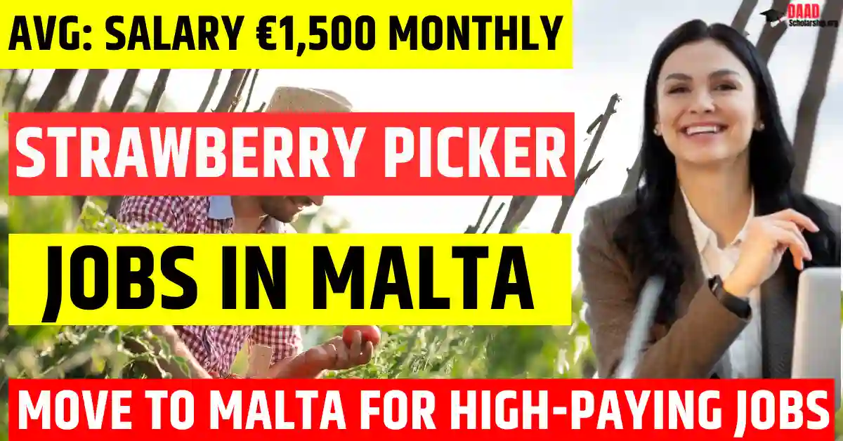 Malta Strawberry Picker Jobs in 2025 — 150 Free Visa Sponsorship | Salary €1,500 Monthly