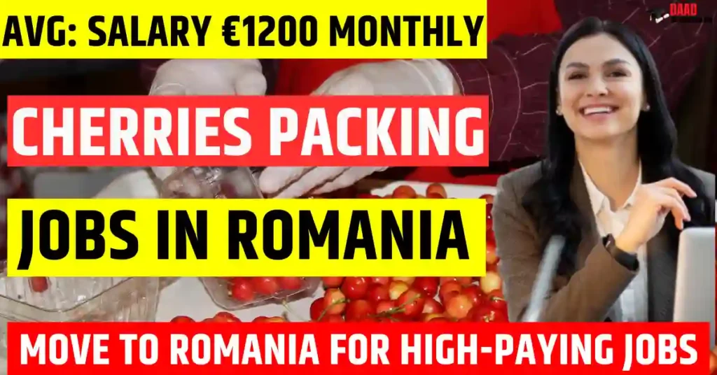 Romania Cherry Packing Jobs 2025 – 200 Free Visa Sponsorship | Salary €1200 Per Month