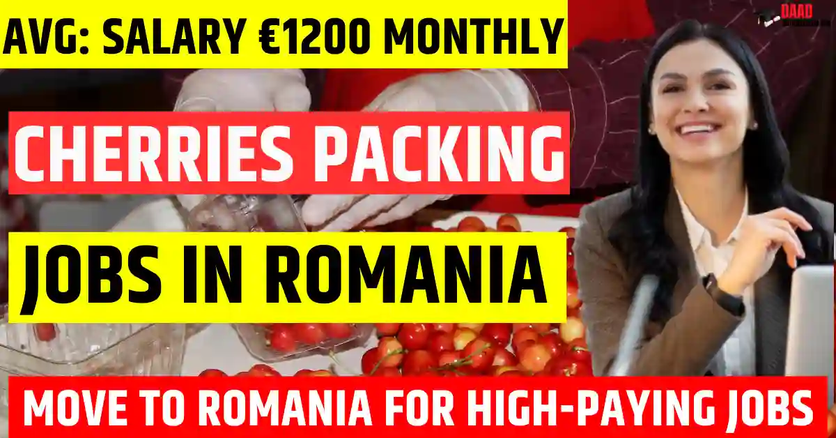 Romania Cherry Packing Jobs 2025 – 200 Free Visa Sponsorship | Salary €1200 Per Month