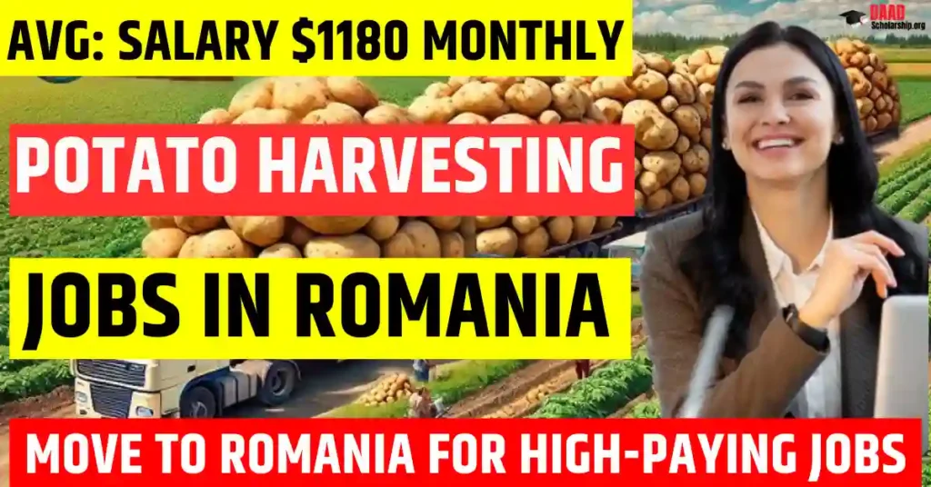 Romania Potato Harvesting Worker Jobs 2025 – 120 Free Visa Sponsorship | Salary $1180 Per Month