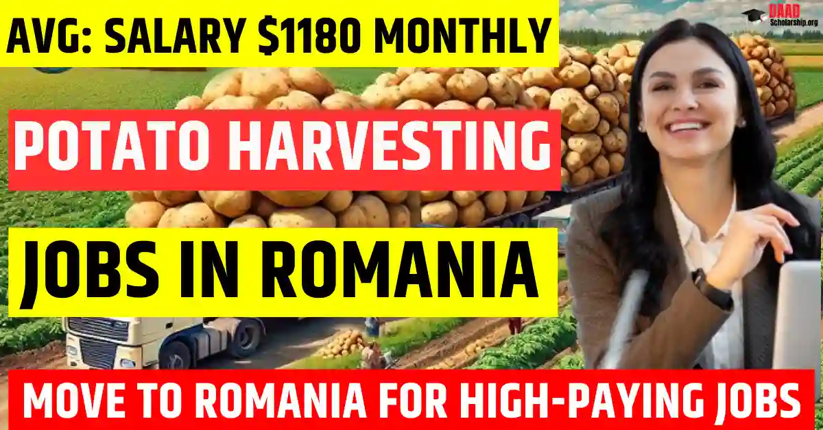 Romania Potato Harvesting Worker Jobs 2025 – 120 Free Visa Sponsorship | Salary $1180 Per Month