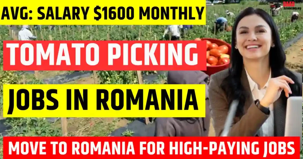 Romania Tomato Picking Worker Jobs 2025 – 170 Free Visa Sponsorship | Salary $1,600 Per Month