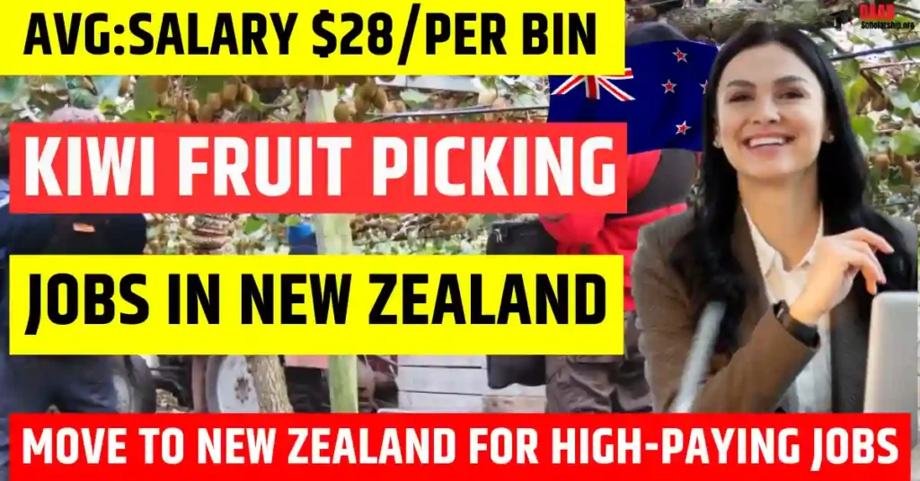 Kiwi Fruit Picking Jobs in New Zealand 2026 | $28/Per Bin | Visa Sponsorship Available